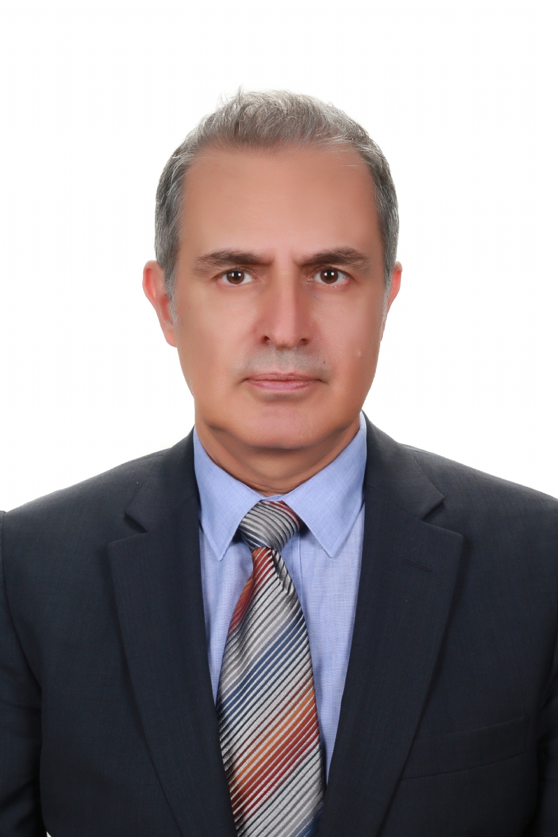 Yavuz Bolgi