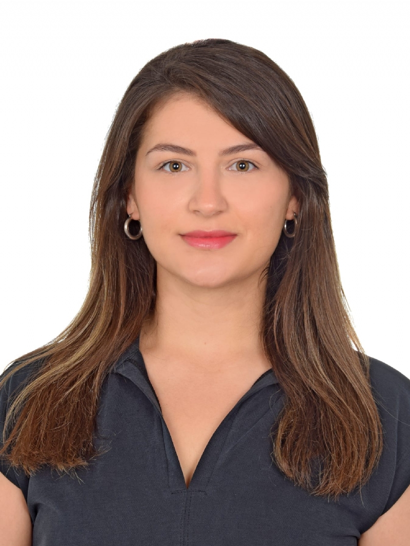 Derya Akp�nar �nver